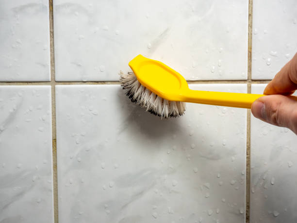 Best Water Damage Restoration  in Candler Mcafee, GA