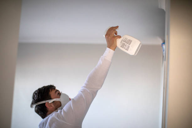 Best Mold Cleaning Services  in Candler Mcafee, GA
