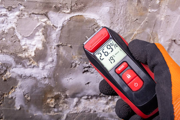 Best Certified Mold Removal  in Candler Mcafee, GA