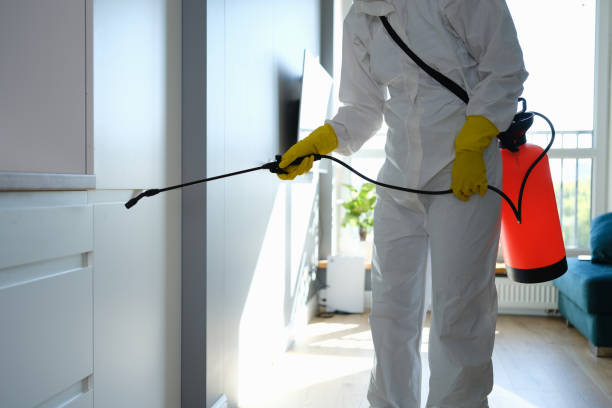 Best Emergency Mold Removal  in Candler Mcafee, GA