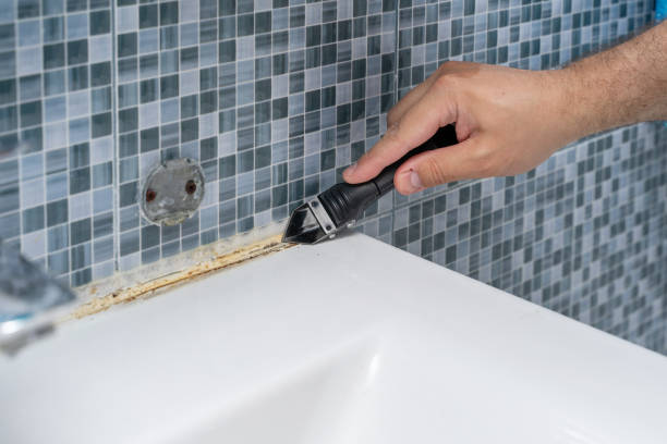 Best Mold Removal Near Me  in Candler Mcafee, GA