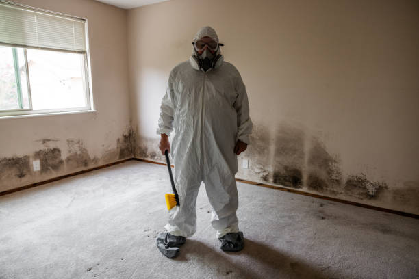 Best Commercial Mold Removal  in Candler Mcafee, GA